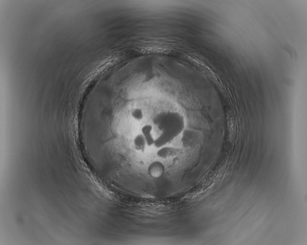 X0000112730729200909031444