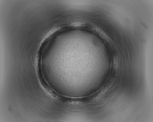 X0000112730730200909031444