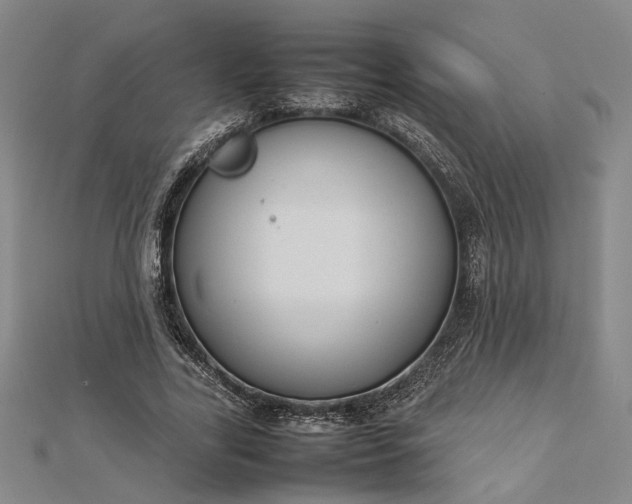 X0000112730731200909031444