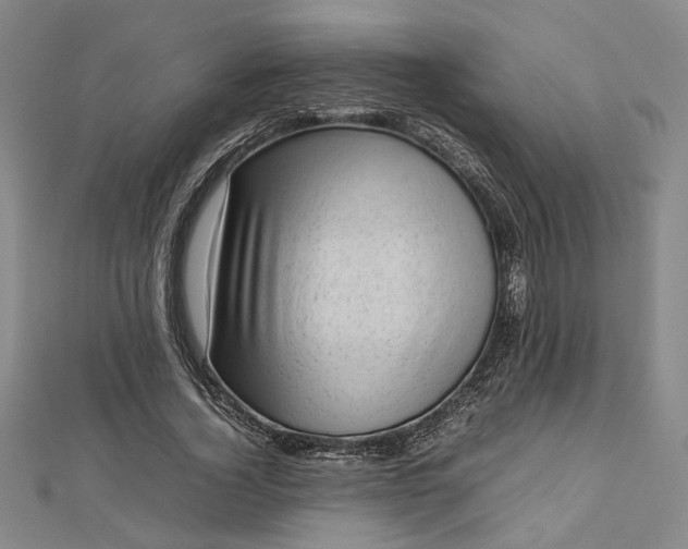 X0000112730732200909031444