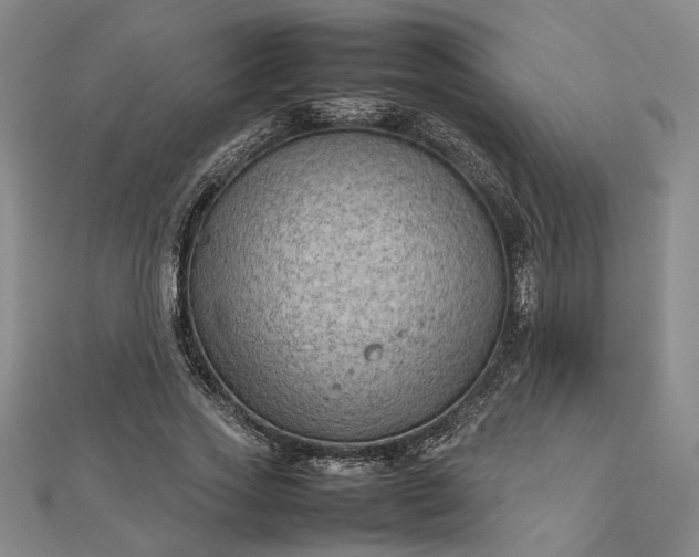 X0000112730733200909031444