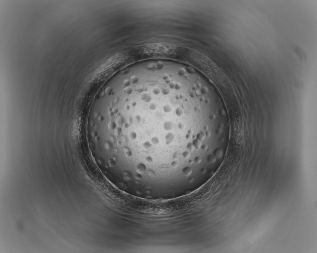 X0000112730735200909031444