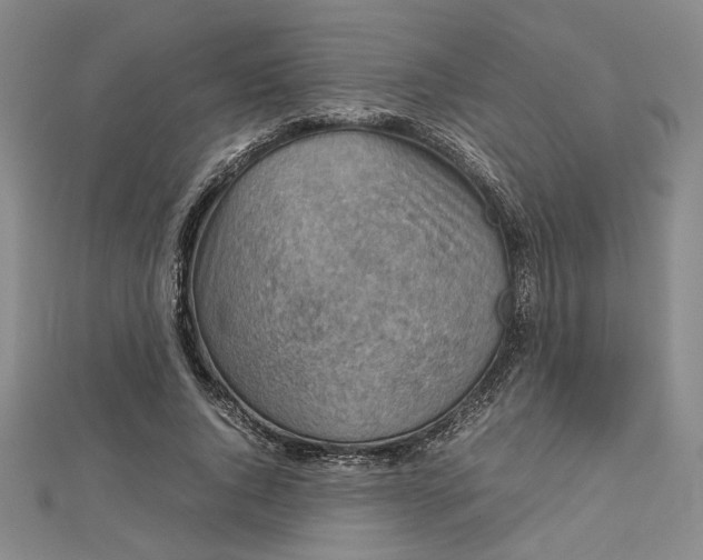 X0000112730736200909031444