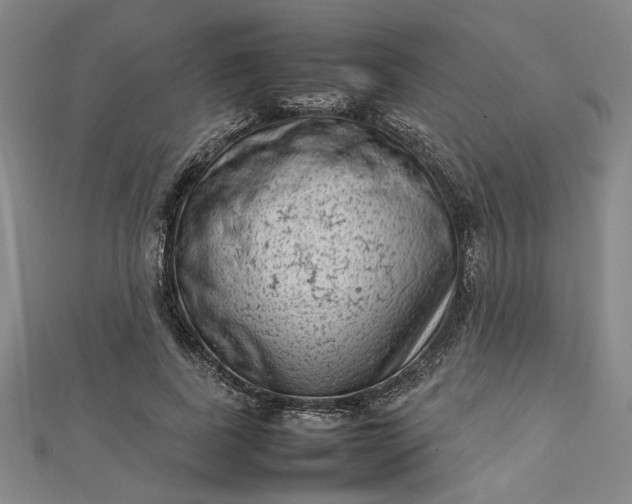 X0000112730739200909031444