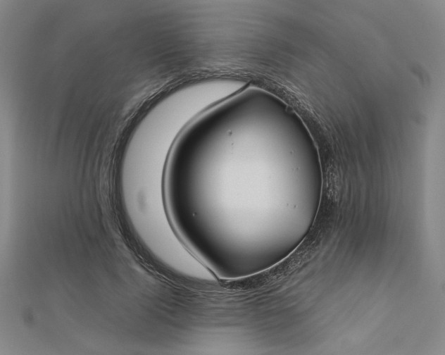 X0000112730740200909031444