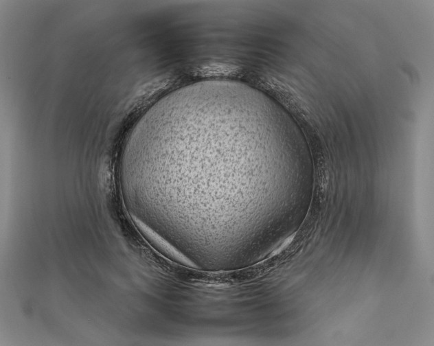 X0000112730743200909031444