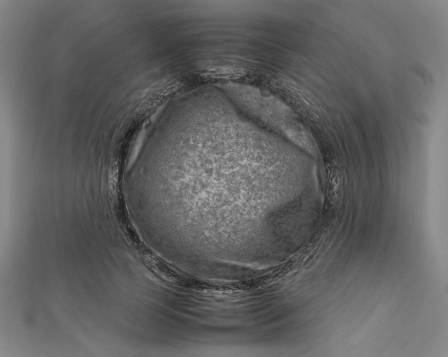 X0000112730745200909031444