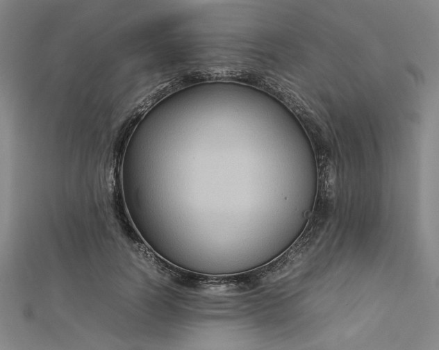 X0000112730746200909031444