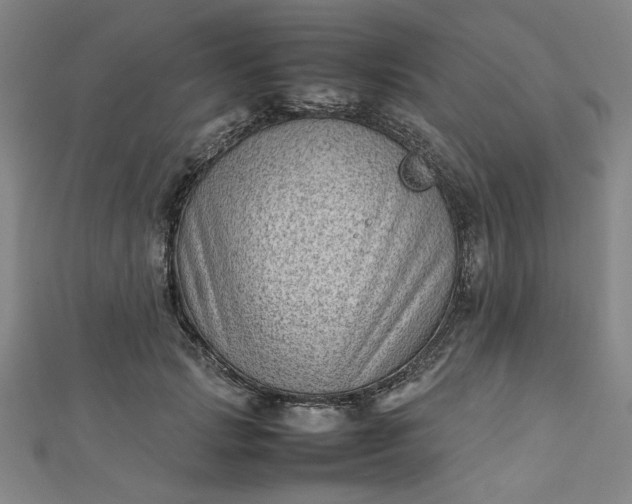 X0000112730749200909031444