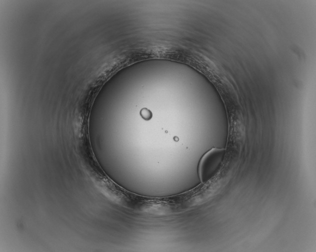 X0000112730750200909031444