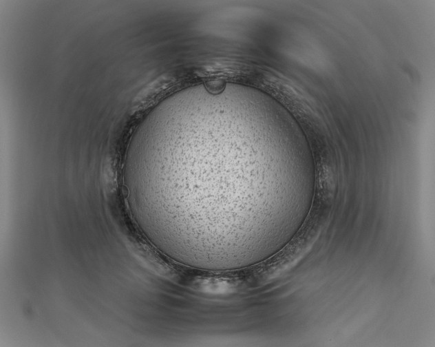 X0000112730751200909031444