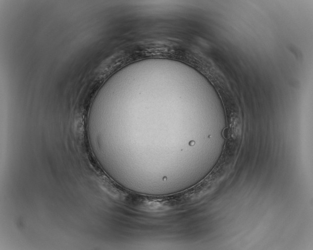 X0000112730753200909031444