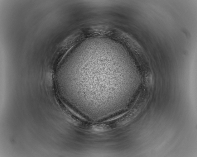 X0000112730757200909031444