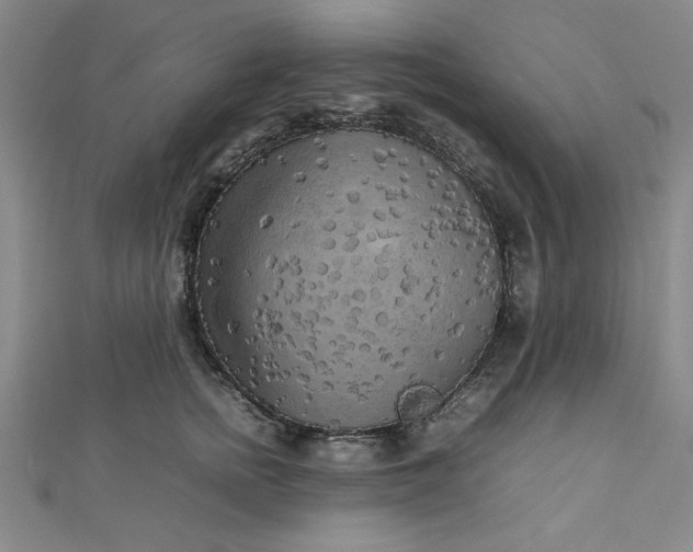 X0000112730758200909031444