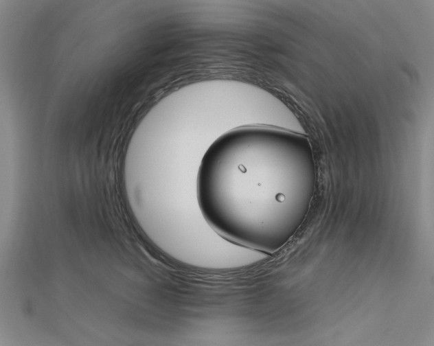 X0000112730760200909031444