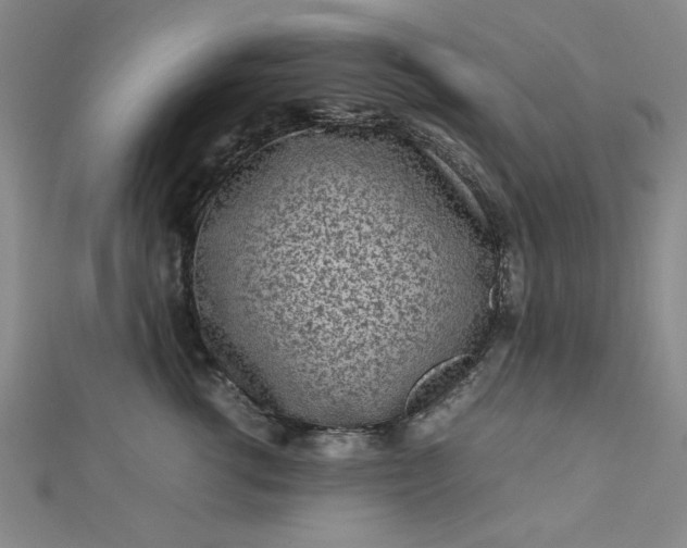 X0000112730762200909031444