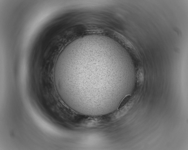 X0000112730764200909031444