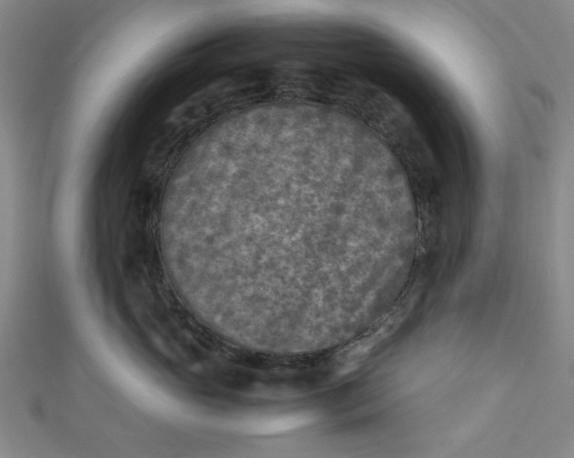 X0000112730765200909031444