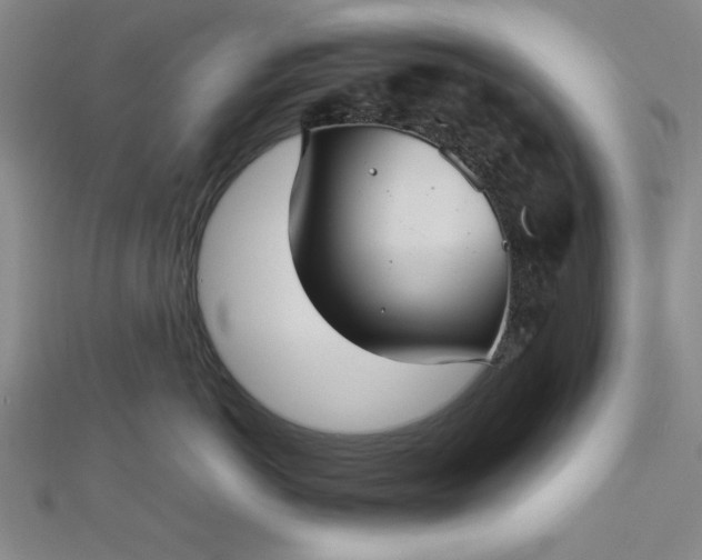 X0000112730766200909031444