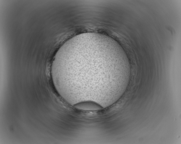 X0000112730768200909031444