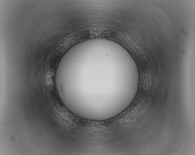 X0000112730770200909031443