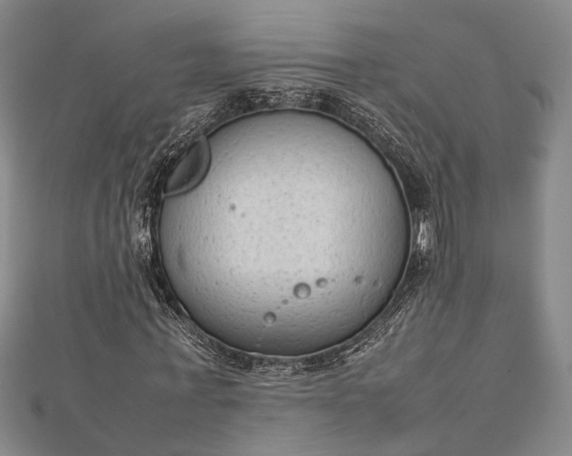 X0000112730771200909031443