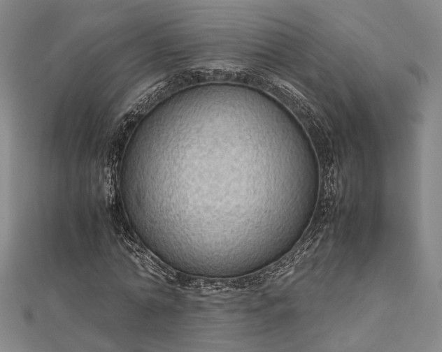 X0000112730774200909031443