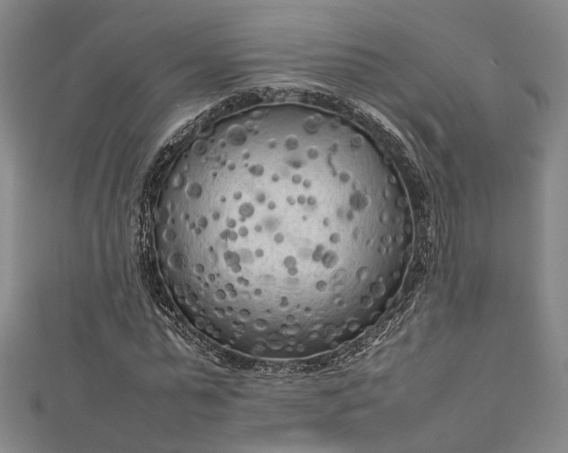 X0000112730775200909031443