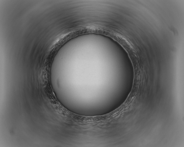 X0000112730776200909031443