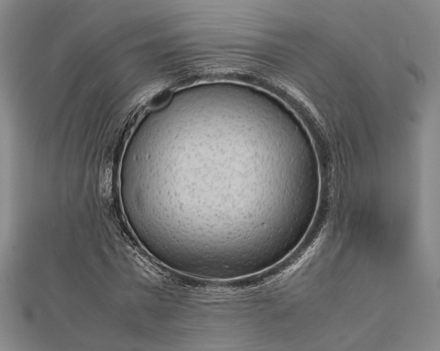 X0000112730777200909031443