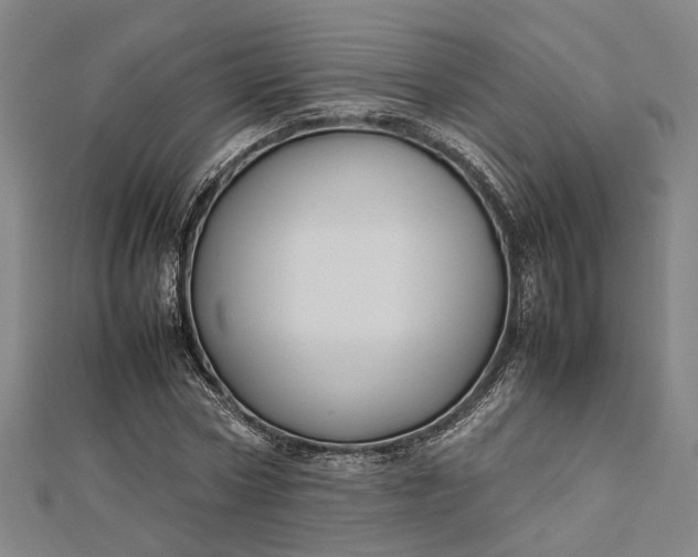 X0000112730778200909031443