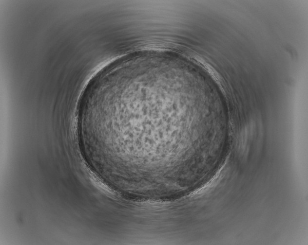 X0000112730779200909031443