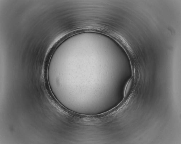 X0000112730780200909031443