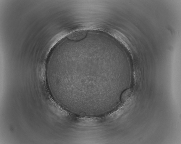 X0000112730781200909031443