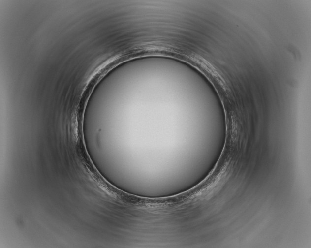 X0000112730782200909031443