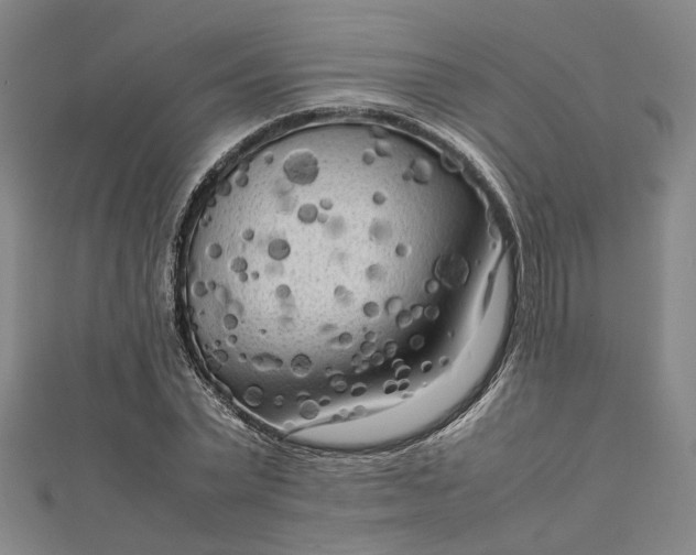 X0000112730783200909031443