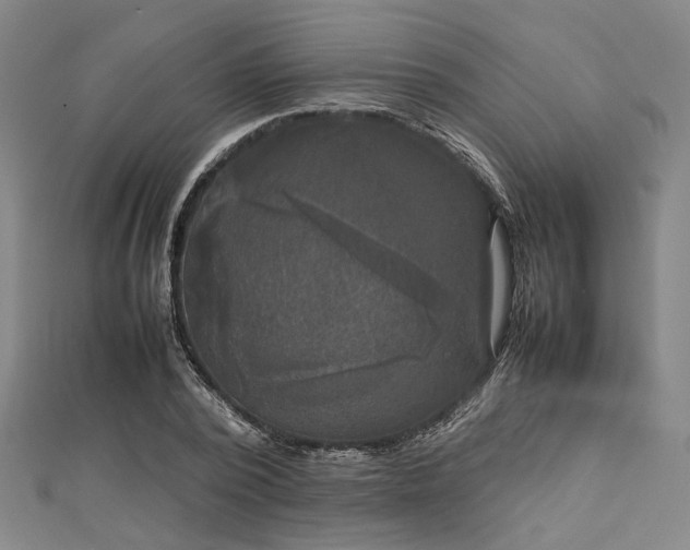 X0000112730784200909031443