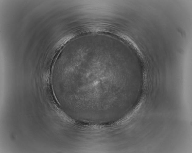 X0000112730785200909031443