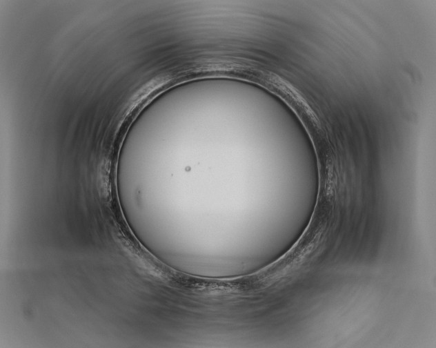 X0000112730786200909031443