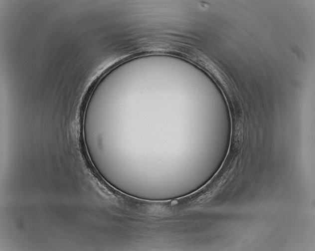 X0000112730787200909031443