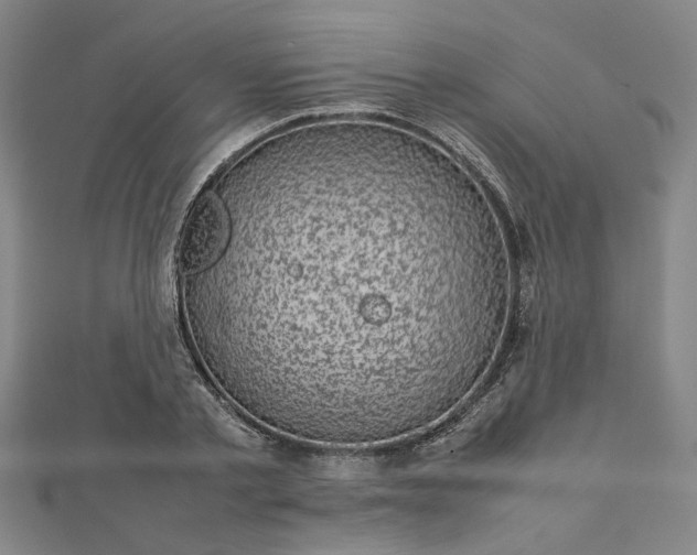 X0000112730789200909031443