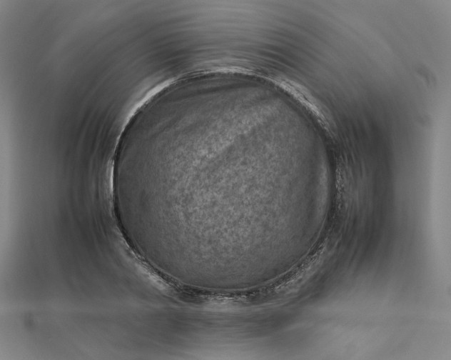 X0000112730790200909031443