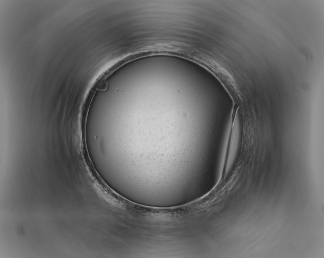 X0000112730792200909031443