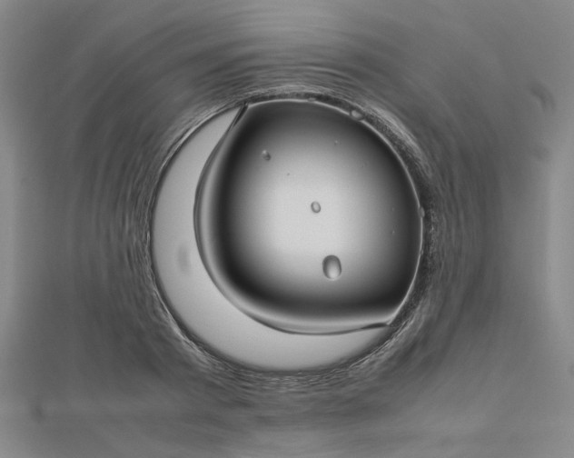 X0000112730793200909031443