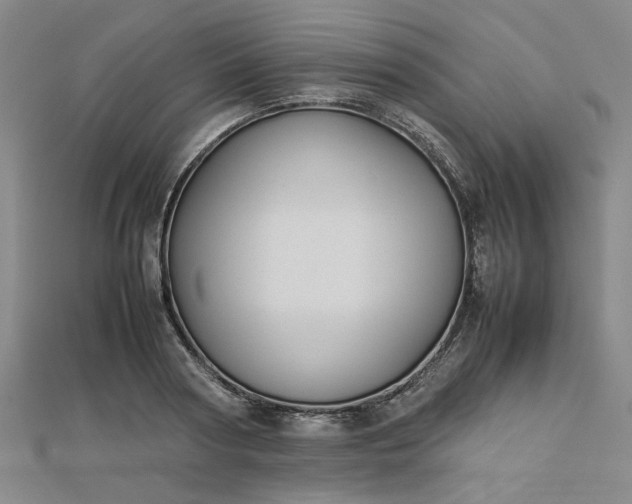 X0000112730794200909031443