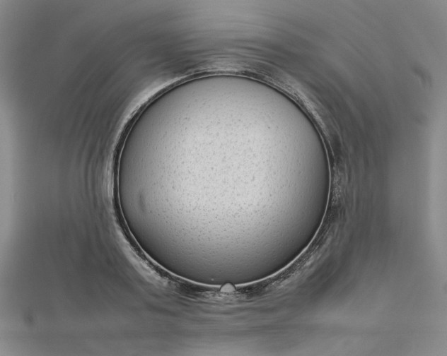 X0000112730795200909031443