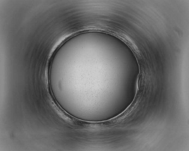 X0000112730796200909031443