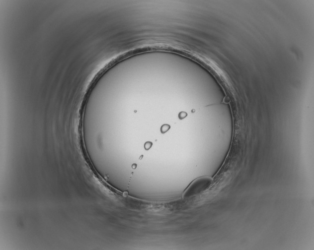 X0000112730799200909031443