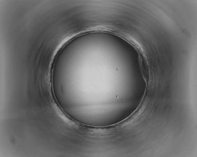 X0000112730800200909031443