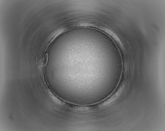 X0000112730801200909031443